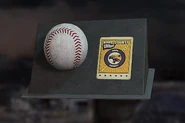 Fc5 baseballcard.jpg (58 KB) A baseball card as it appears in-game, in the inventory menu.