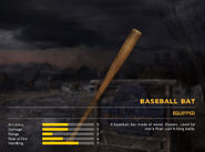 Baseball Bat