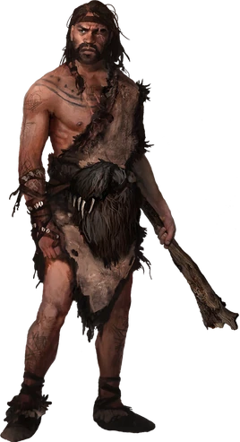 Fcp character-karoosh ncsa