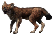 FC4 Animal (8).png (127 KB) Dhole