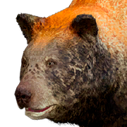 Трофей