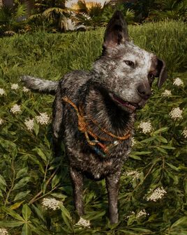 Far Cry 6