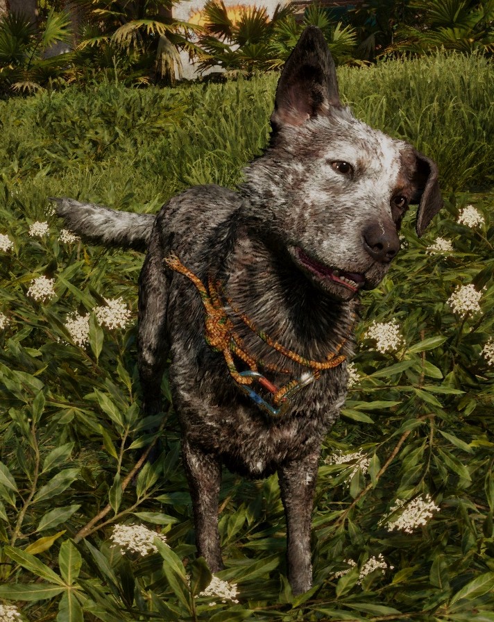 The Best Animal Companions in Far Cry 6