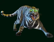 Black & White Tiger