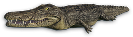 Far Cry 3