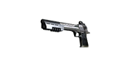 The suppressed Desert Eagle