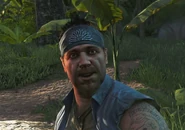 FC3 Хёрк.jpg (1,29 МБ) То же