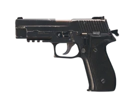 FC6 P226