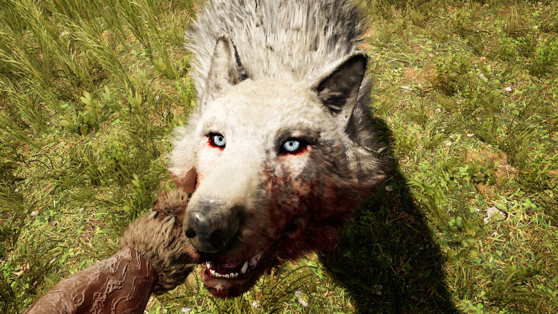 Охота на ледоволка | Far Cry Wiki | Fandom