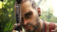 Fc3 vaas