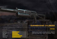 Suppressor Cylinder