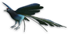 FC3 cutout birdparadise