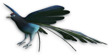 Bird of Paradise | Far Cry Wiki | Fandom