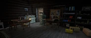Dansky Cabin - Interior