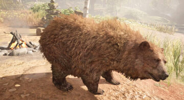 Bear Far Cry Wiki Fandom