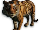 Животные Far Cry 3