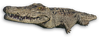 FC3 cutout albinocrocodile