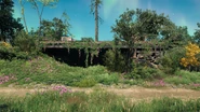 Bardbury Woods - larger hed