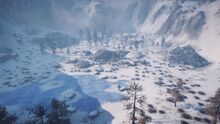 Yeti BoneField.jpg