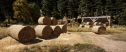 Bradbury Hay Field - Hay bales and hayrack