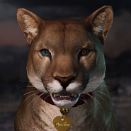 Fc5 peaches roster