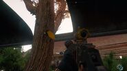 Key on a tree in Bookworm Ridge