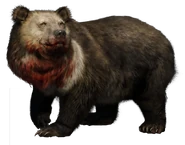 FC4 Animal (35).png (232 KB) Ghost Bear