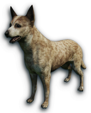 dingo far cry 3