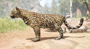 Jaguar (Primal)