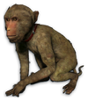 FC3 cutout sirroland