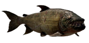 FC4 Animal (20).png (95 KB) Demon Fish