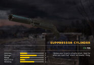 Suppressor Cylinder