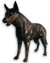 FC3 cutout rabiddog