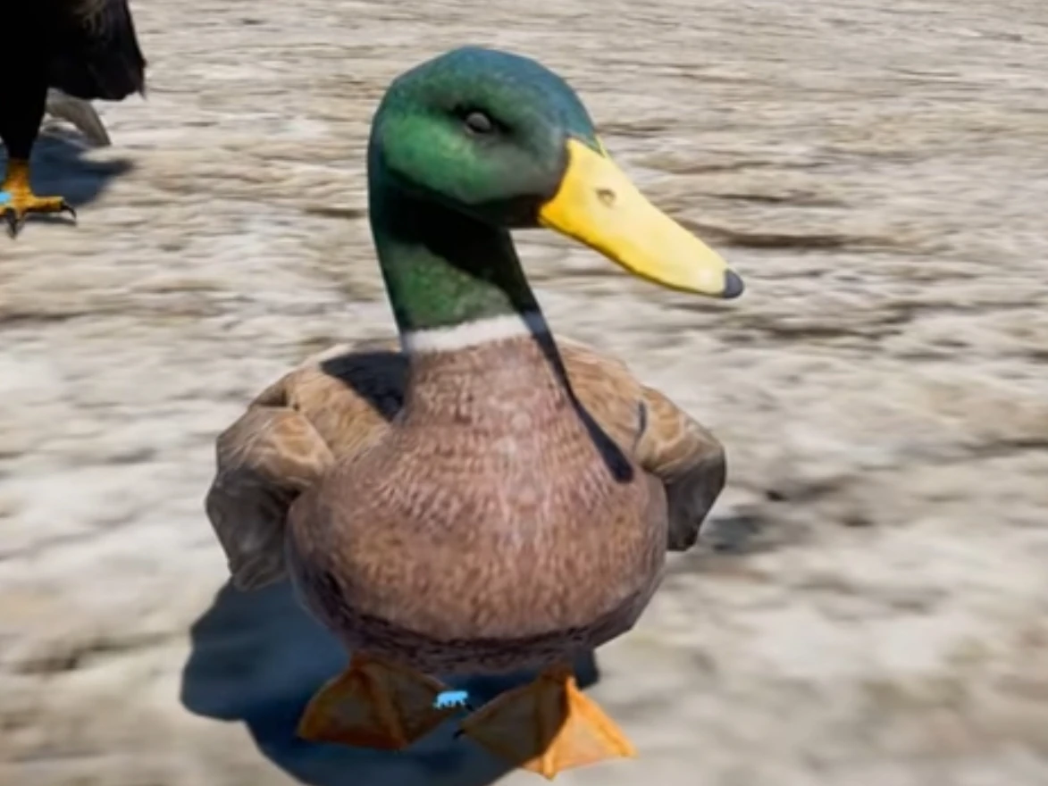Duck Far Cry Wiki Fandom