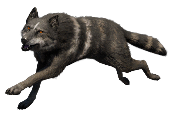 far cry 5 where to find wolves
