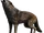 Tibetan Wolf