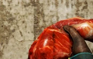 Приманка в Far Cry 4