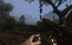 Golden AK-47s, Far Cry 2 Wiki