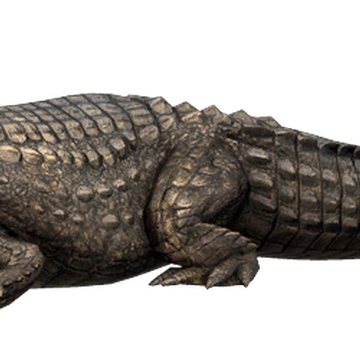 Mugger Crocodile Far Cry Wiki Fandom