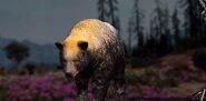 Far-cry-new-dawn-black-bear-hunting-location-1620x800