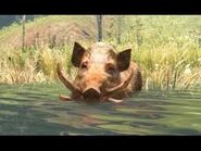 A boar in the water in FC Primal