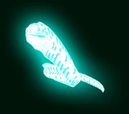 Glowing Moray Eel