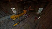 The wingless carmina in the shed