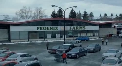 Phoenixfarms