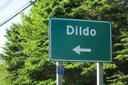 Dildo road sign - posted by Robo Beat