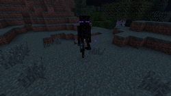 Original Enderman Farm, LontyLan Wikia