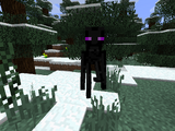 Enderminion