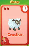 Cracker Sheep
