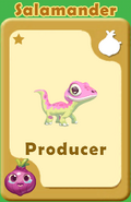 Producer Salamander A