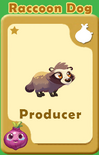 Producer Raccoon Dog A